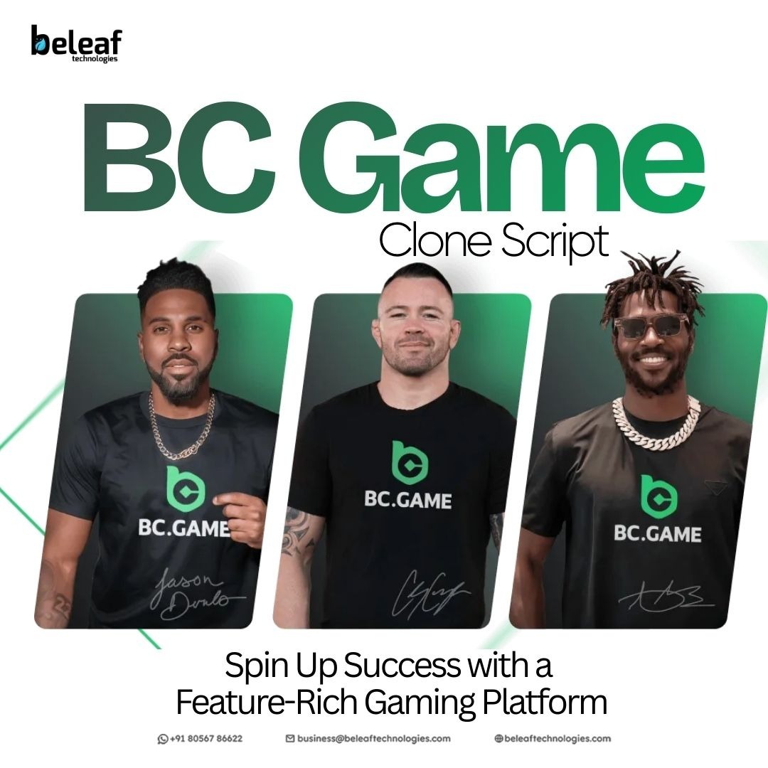 Build a BC-Style Casino Without the Heavy Dev Costs